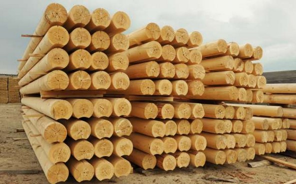 Качество древесины влияет на строительство